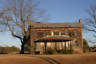 Old house and tree