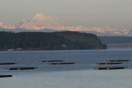 Mt Baker over Oak Harbor, Whidbey Island, WA