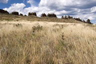 The Devil's Backbone